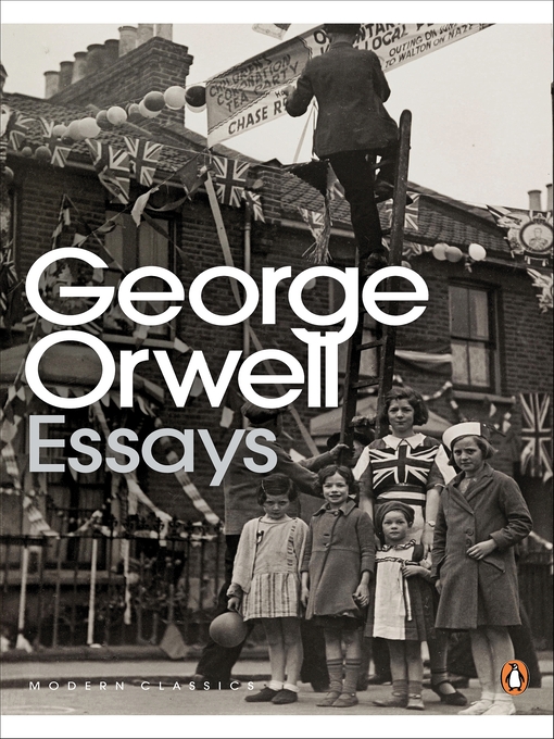 Cover image for Essays